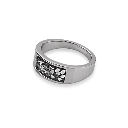 Coeur de Lion Ring 4834 1700 Silver De Blaker exclusief