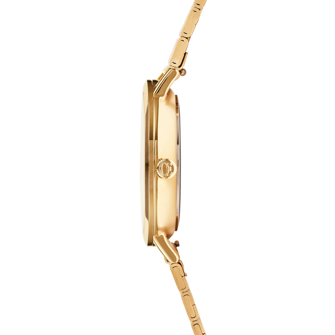 Michael kors lion watch shop