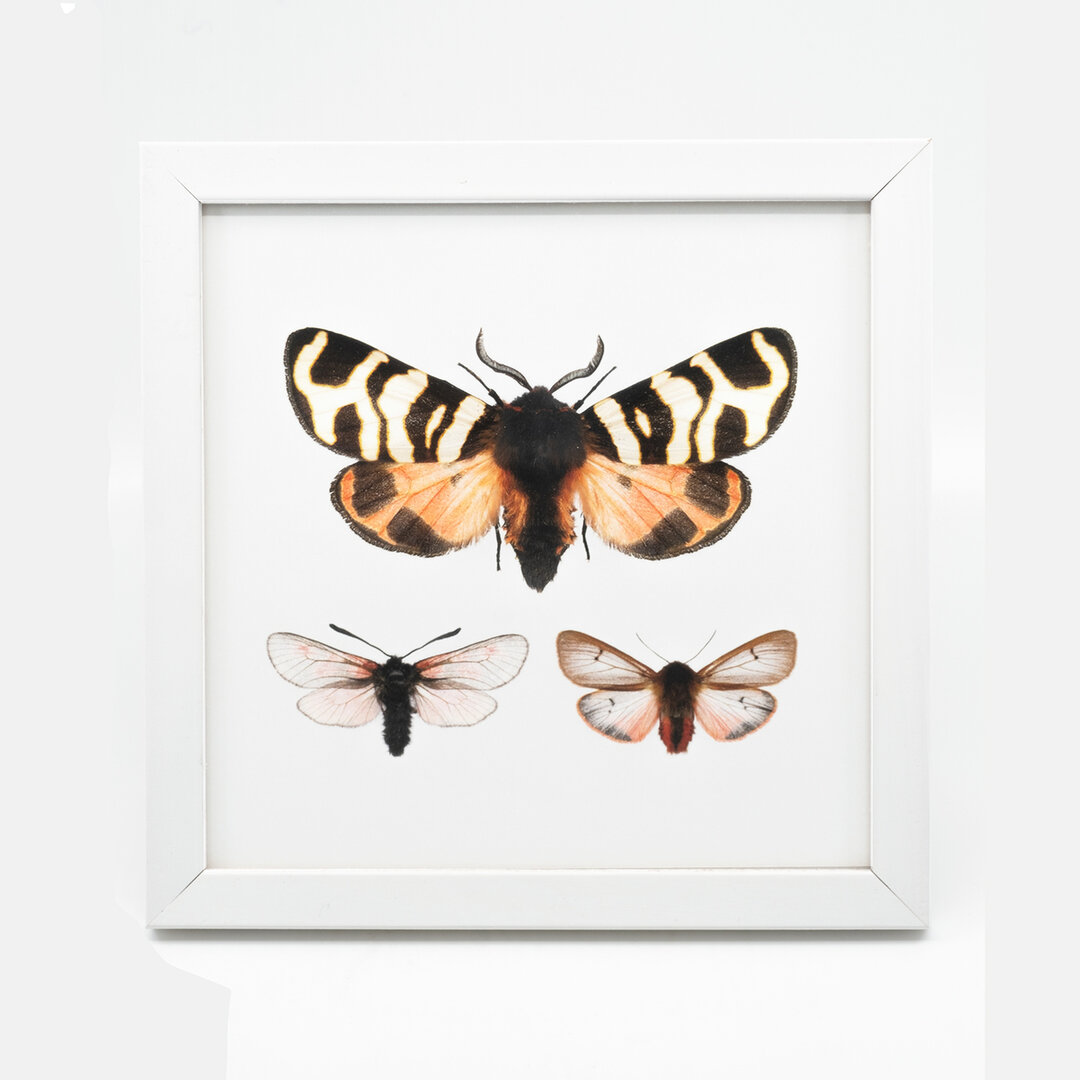 Liljebergs wit met fotoprint vlinder roze 15x15 cm - De Blaker exclusief
