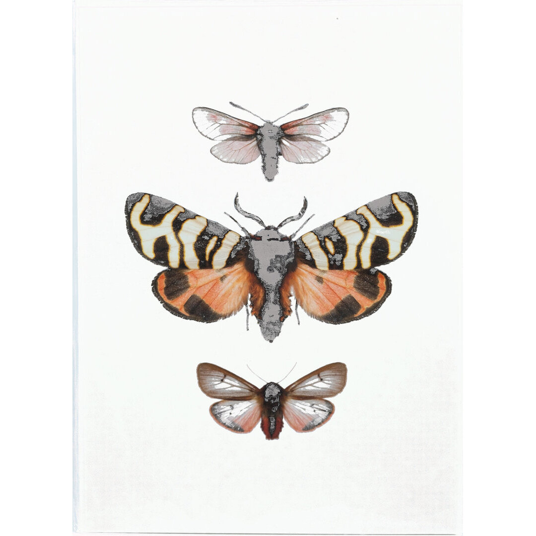 Liljebergs fotoprint Drie Vlinders 15x21 cm