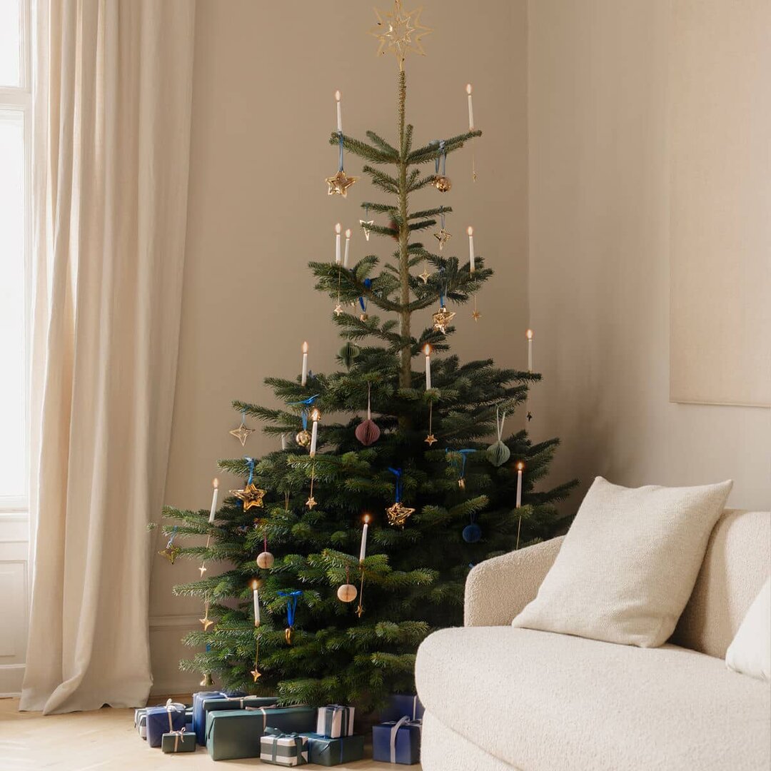 Georg Jensen 3 en 4 punten ster kerst 2021 ornament