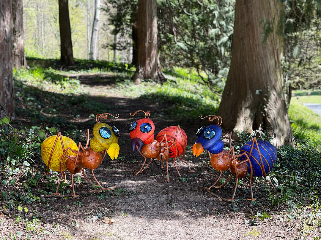 Borowski Amy Mieren licht object