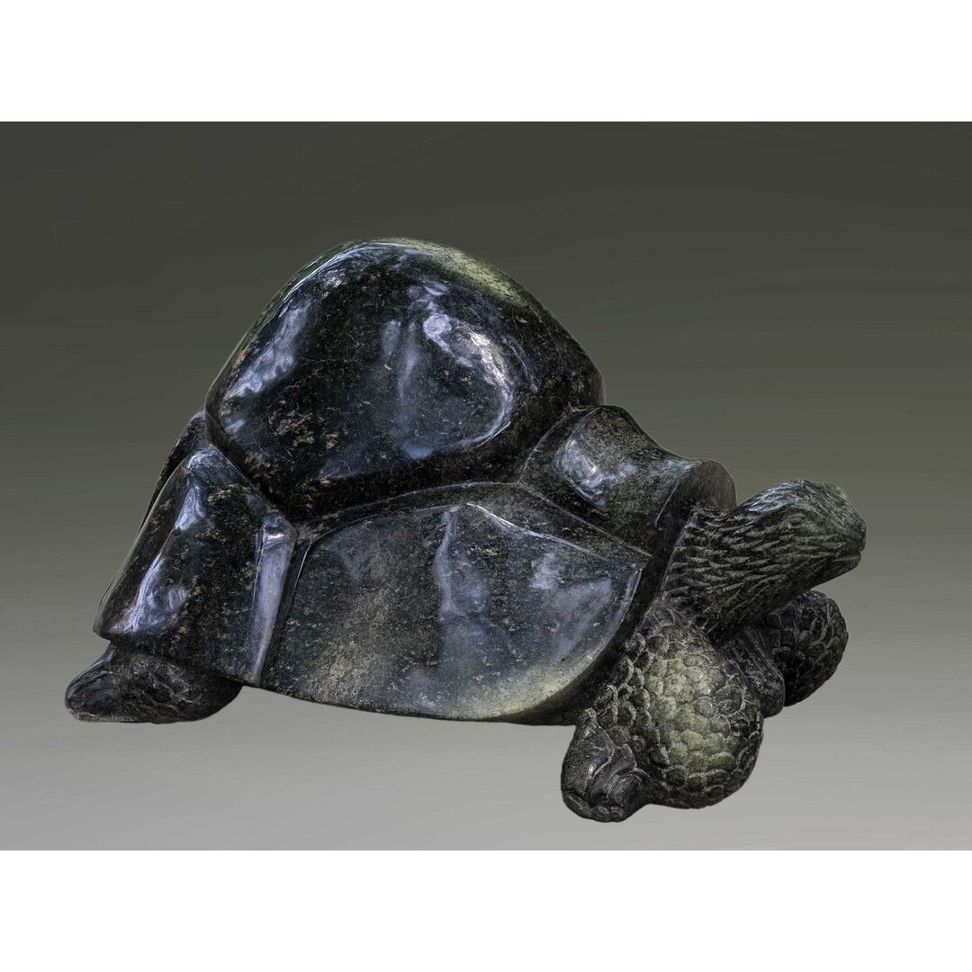 Stenen tuinbeeld schildpad bij de vijver in de tuin. Tuin dier stenen kunst in de tuin. Groen schildpad voor in de tuin