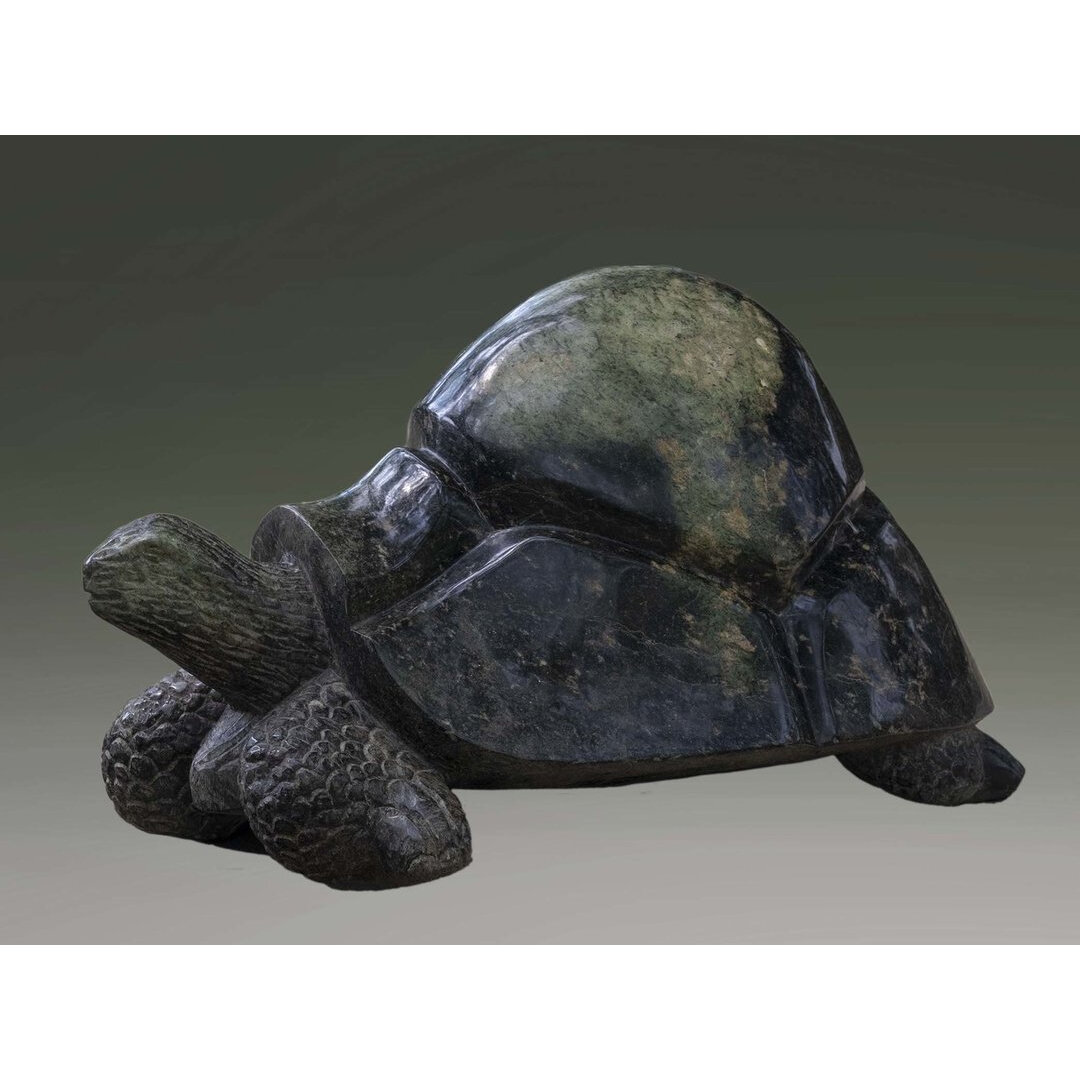Stenen tuinbeeld schildpad bij de vijver in de tuin. Tuin dier stenen kunst in de tuin. Groen schildpad voor in de tuin