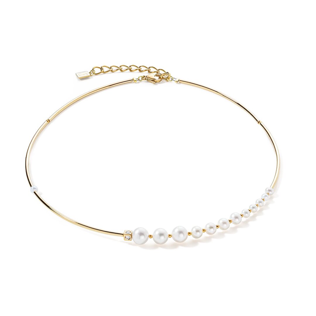 Lion choker hotsell