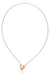 CLIC Ketting C206G