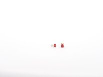 Otracosa Oorbellen Rood ST406