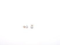 Otracosa Oorbellen Zilver ST309