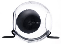 Bird Feeder Born in Sweden voederbol raam