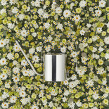 Stelton RVS gieter Classic Original 1,7 L