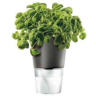 Eva Solo kruidenpot mat glas ø13 cm
