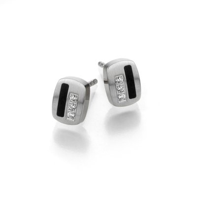 TeNo oorbellen 034.80P09.D34
