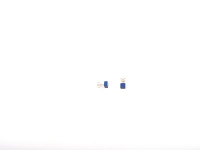 Otracosa Oorbellen Blauw ST406