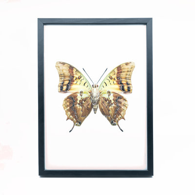 Liljebergs Fotolijst zwart 21x30 cm Liljebergs Fotolijst zwart 21x30 cm