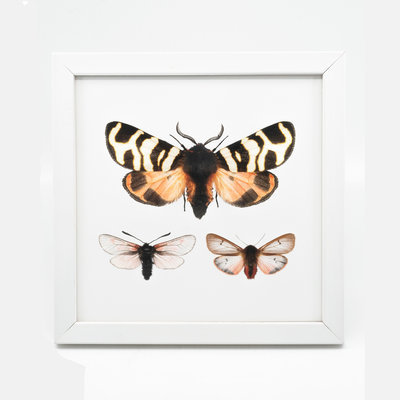 Liljebergs Fotolijst wit met fotoprint vlinder roze zwart 15x15 cm Liljebergs Fotolijst wit met fotoprint vlinder roze zwart 15x15 cm