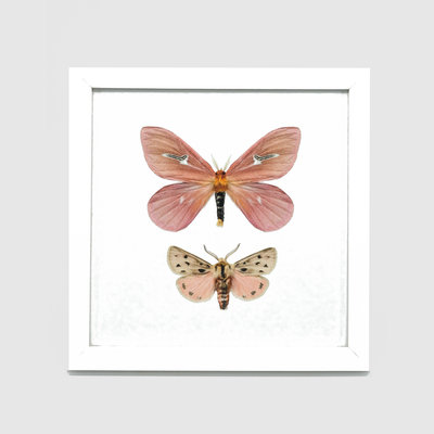 Liljebergs Fotolijst wit met fotoprint vlinder roze 15x15 cm Liljebergs Fotolijst wit met fotoprint vlinder roze 15x15 cm