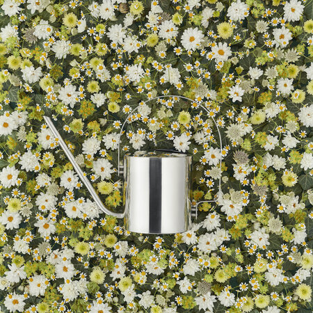 Stelton RVS gieter Classic Original 1,7 L Stelton RVS gieter Classic Original 1,7 L
