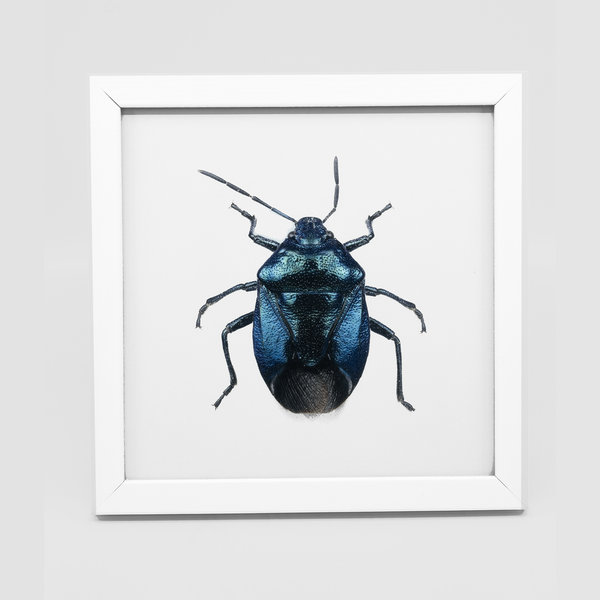 Liljebergs Fotolijst wit met fotoprint kever blauw 15x15 cm Liljebergs Fotolijst wit met fotoprint kever blauw 15x15 cm